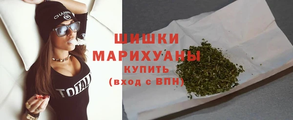 трава Бородино