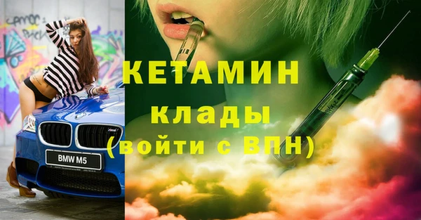 трава Бородино
