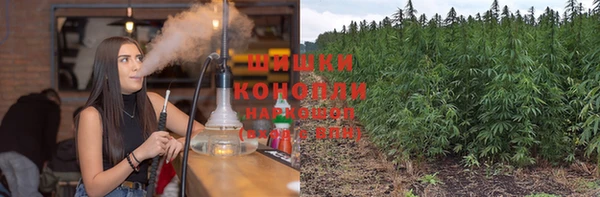 шишки Бугульма
