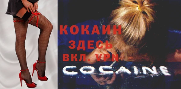 шишки Бугульма
